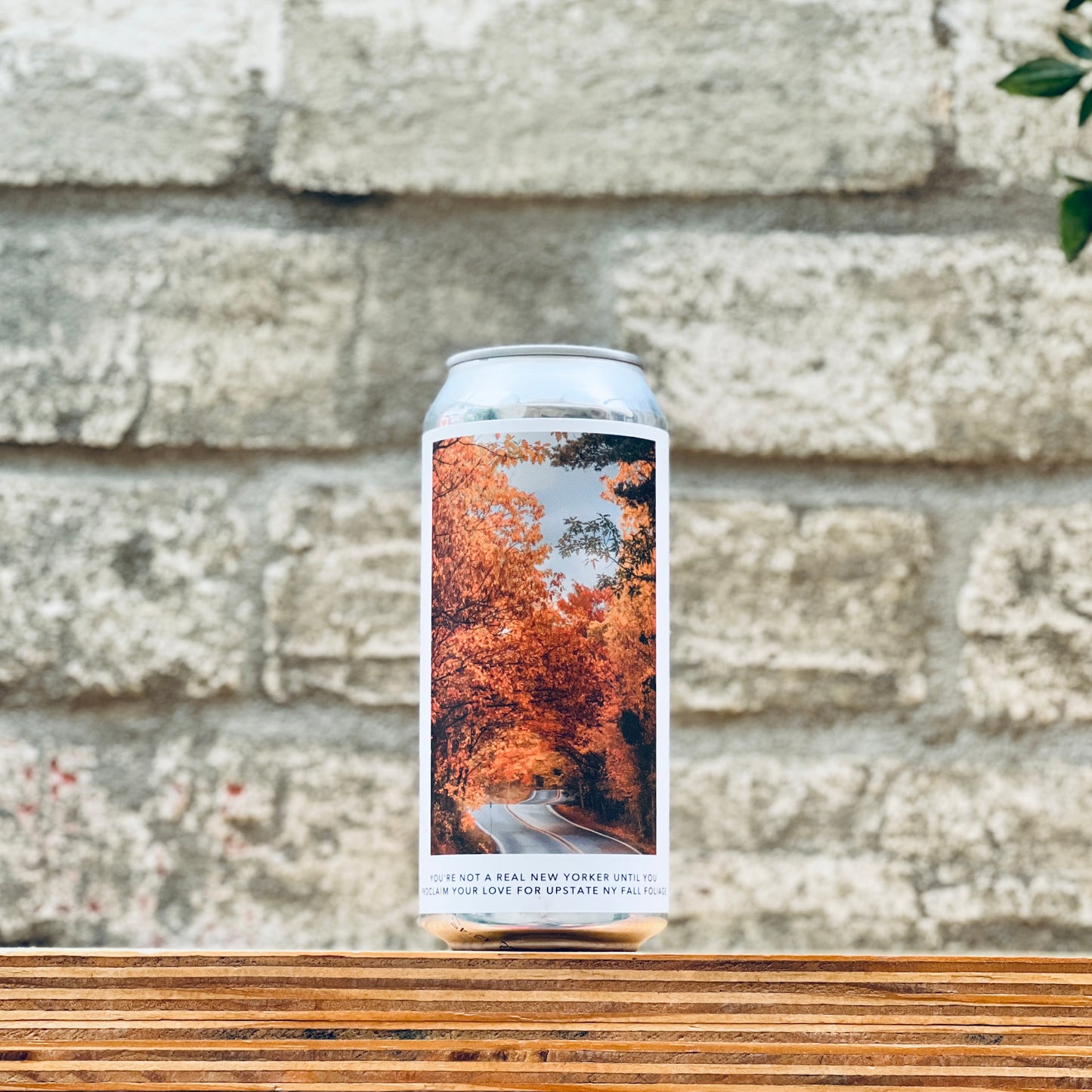 Evil Twin You're Not A Real New Yorker Until You Proclaim Your Love For Upstate NY Fall Foliage NEIPA (473ml)