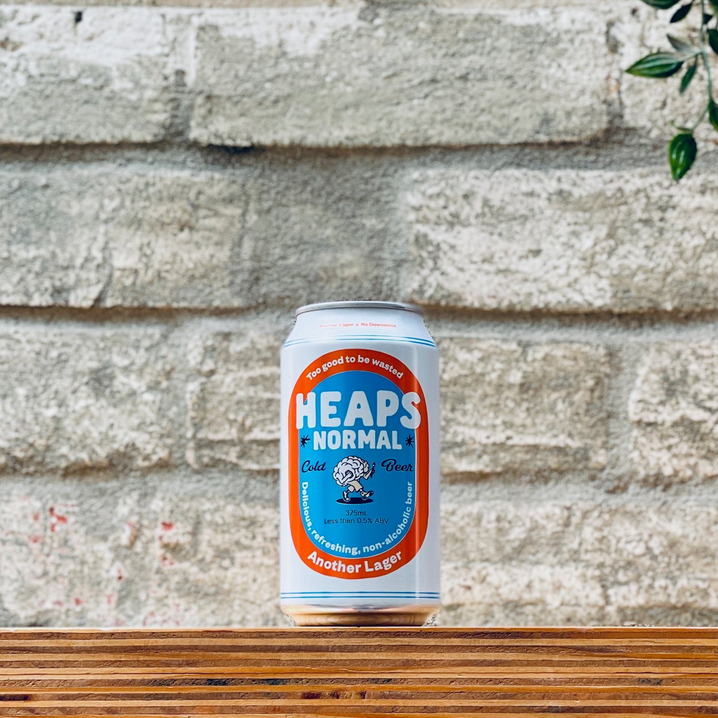 Heaps Normal Another Lager (375ml)